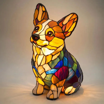 Pitchou – Luce radiosa del corgi